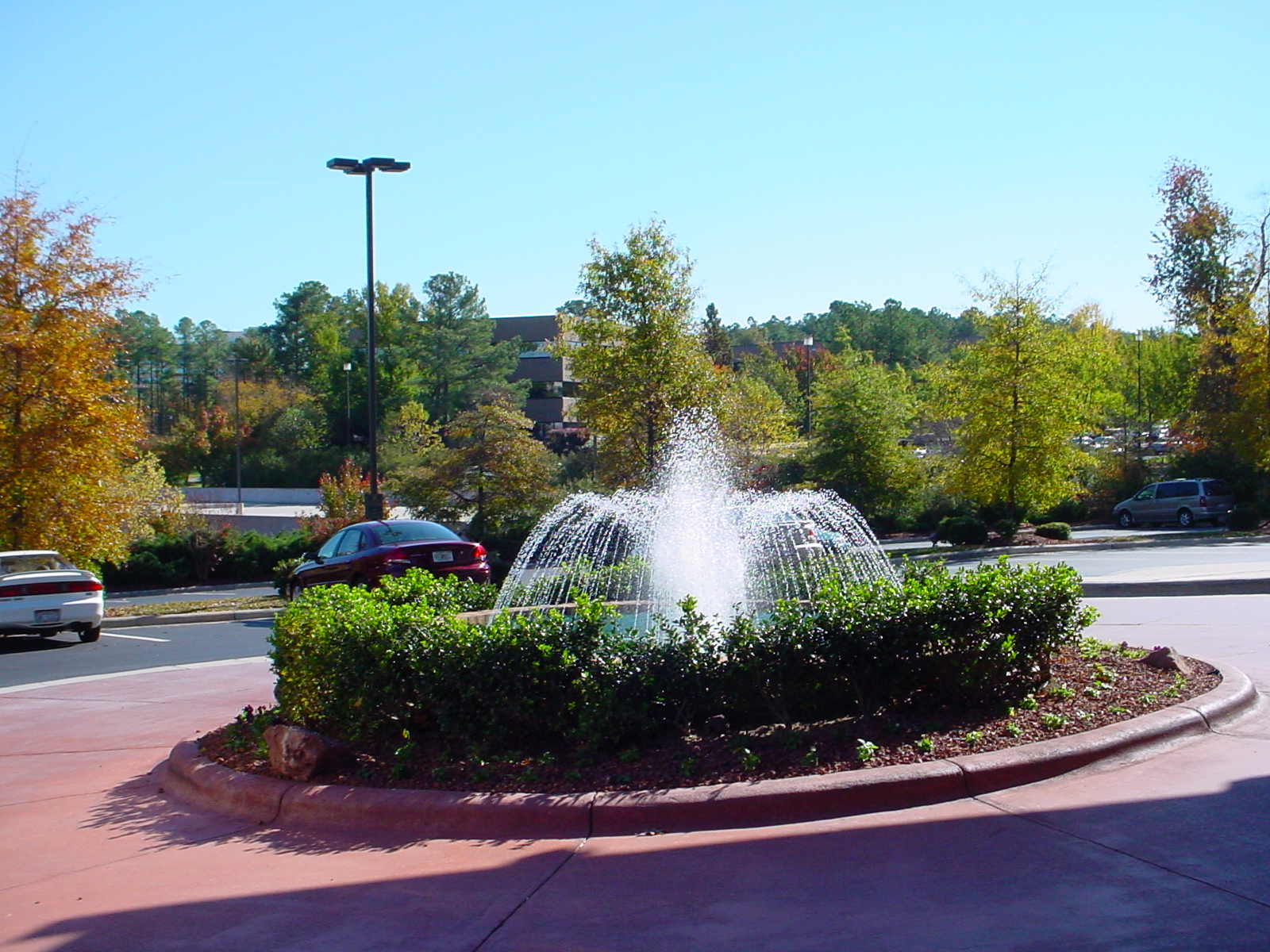 罗利 - 照片 4 / Raleigh Photo 4
