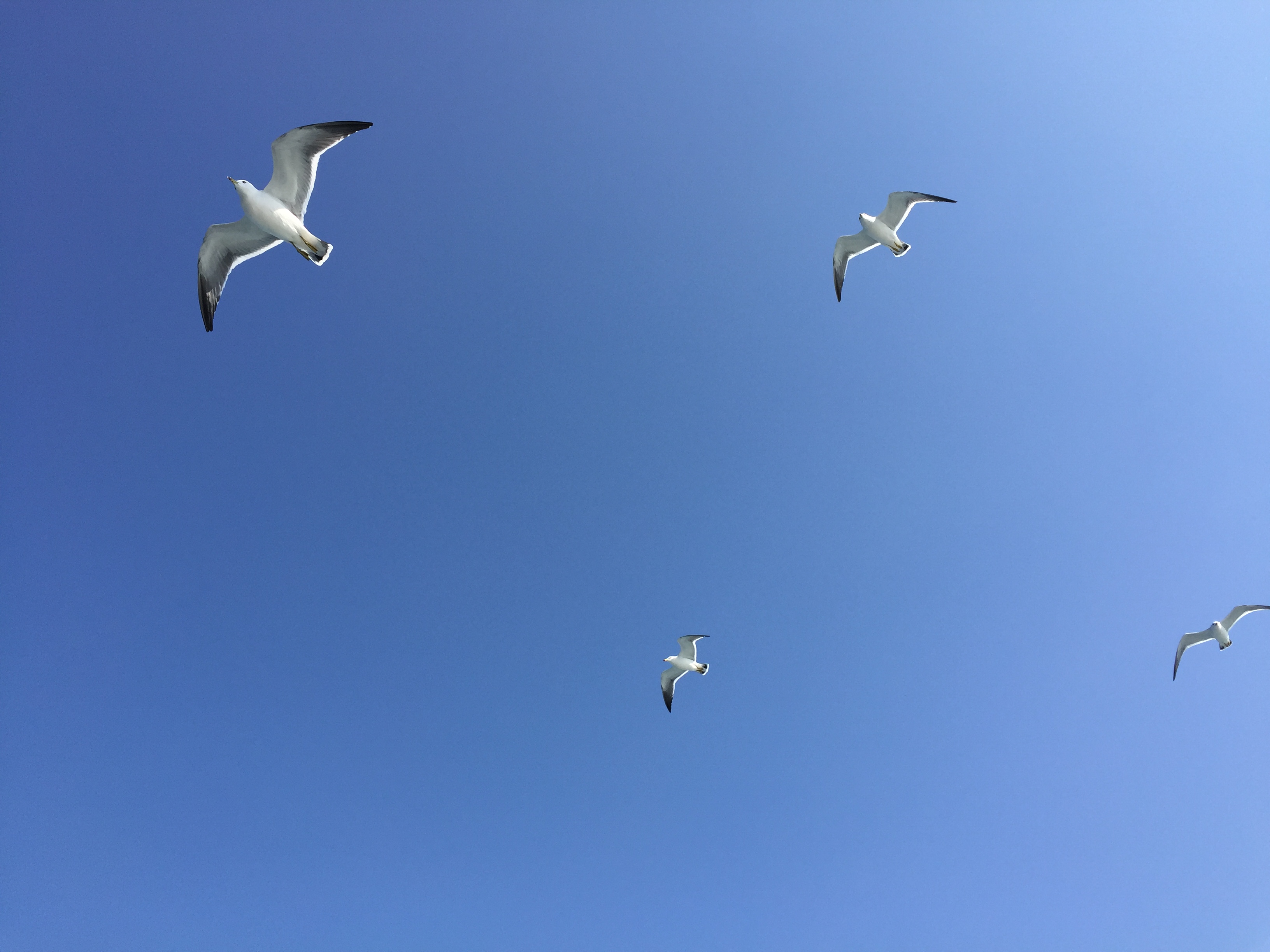 济州 - 照片 7 / Jeju Photo 7
