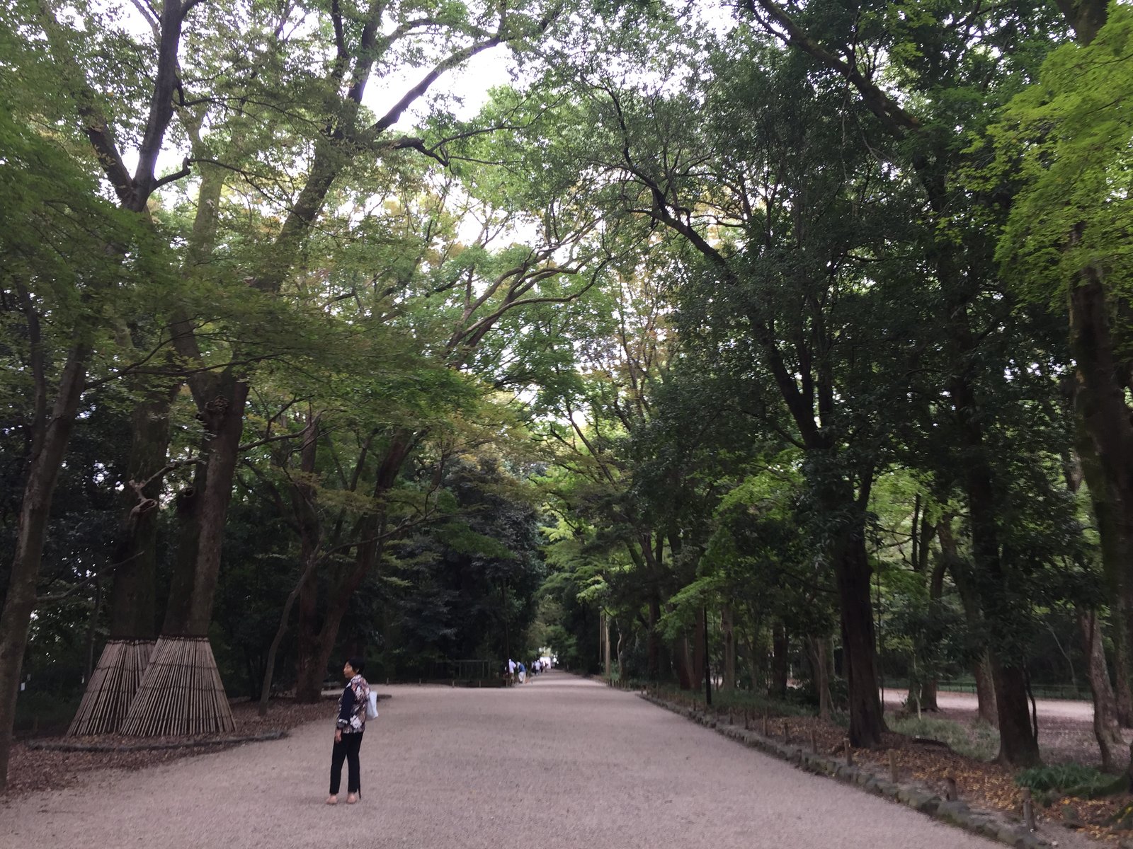 京都 - 照片 7 / Kyoto Photo 7