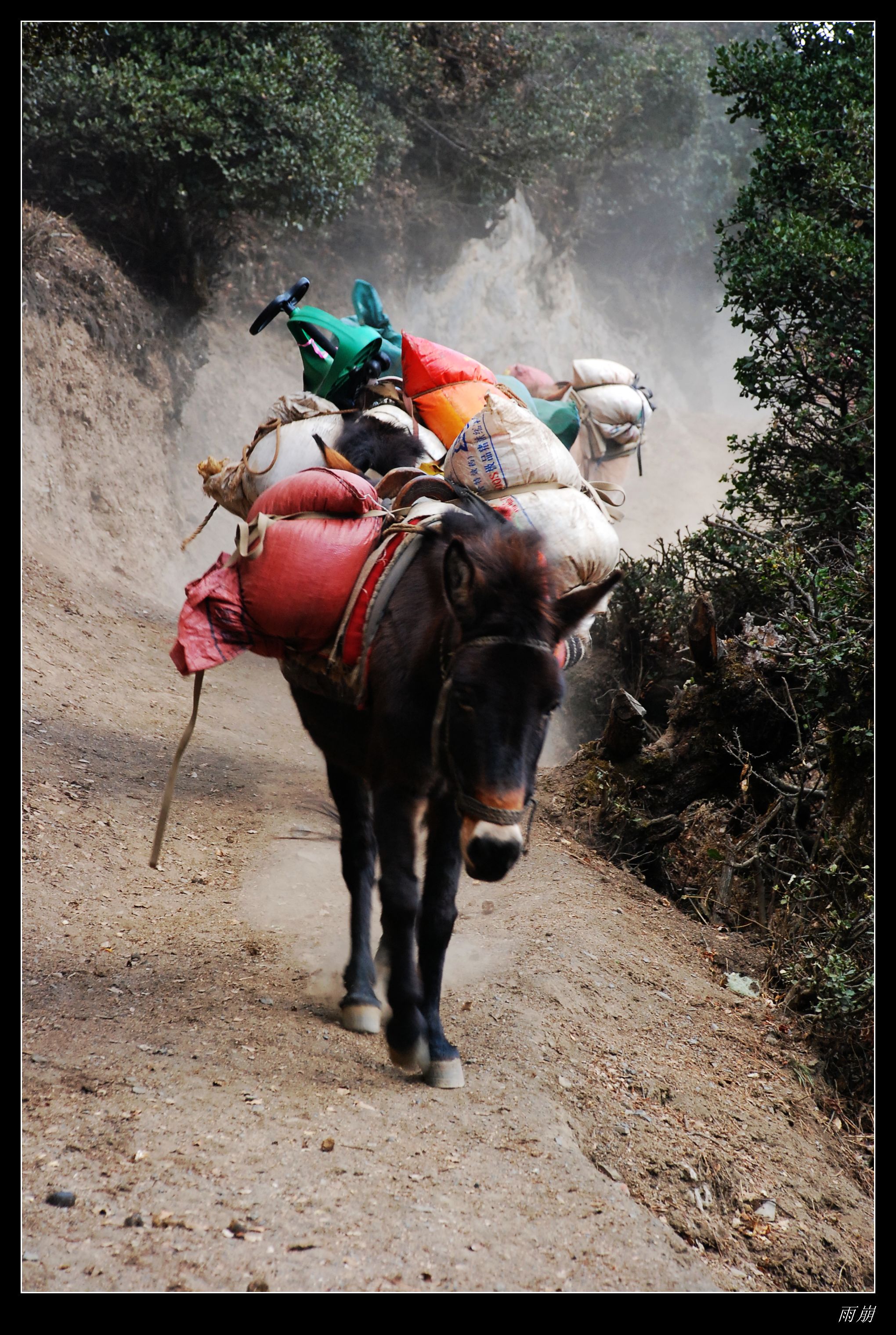 丽江 - 照片 20 / lijiang Photo 20