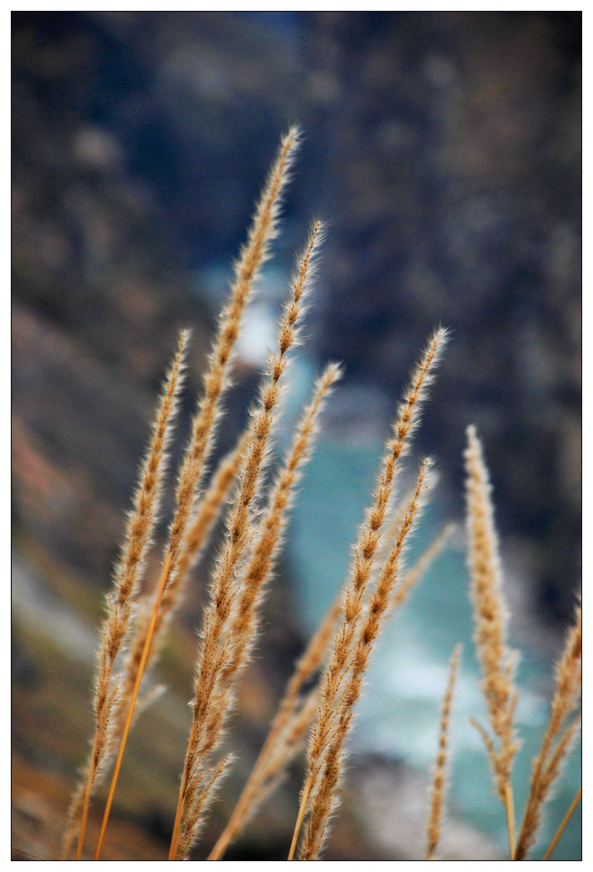 丽江 - 照片 5 / lijiang Photo 5