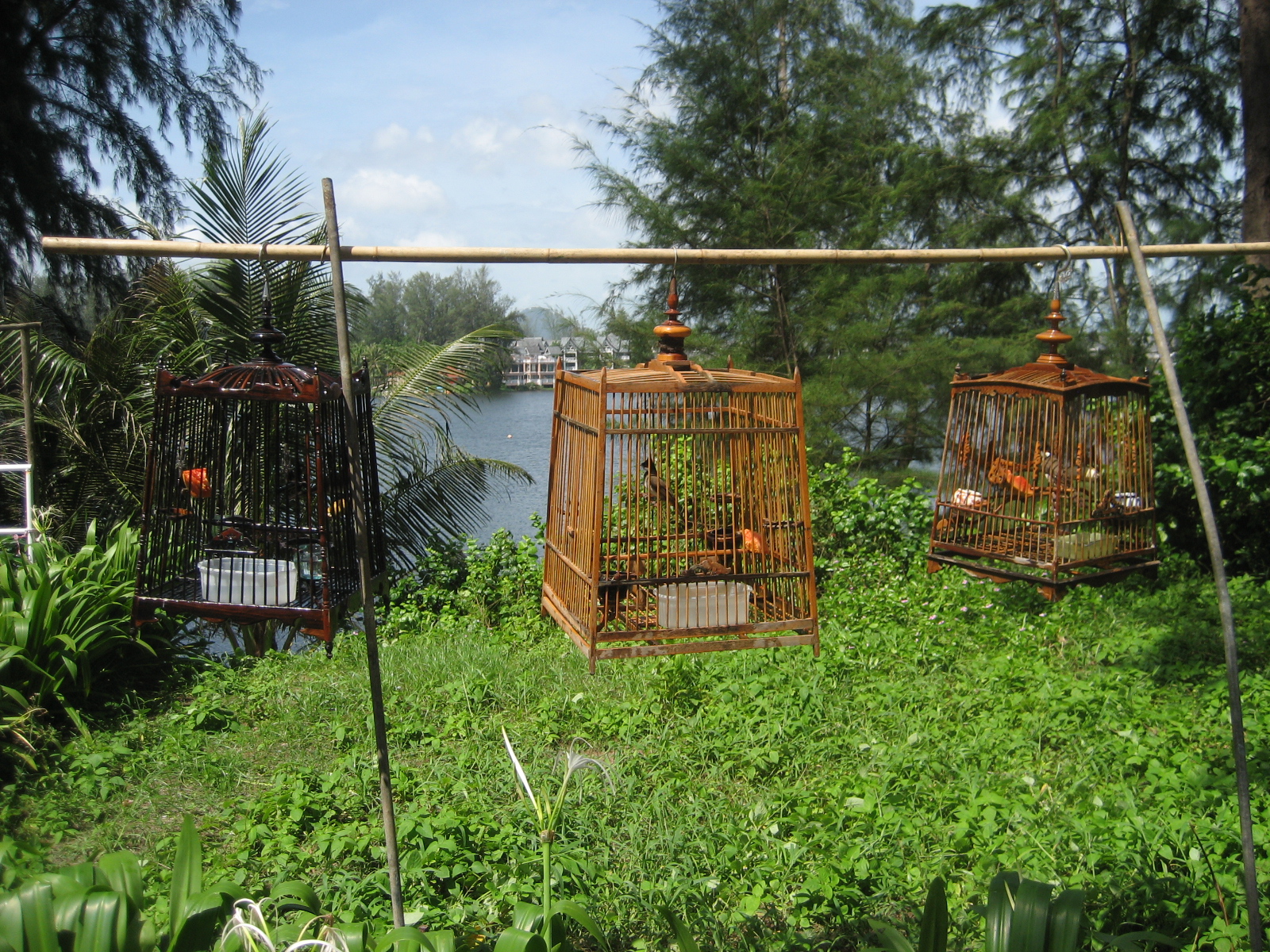 Phuket - Photo 5