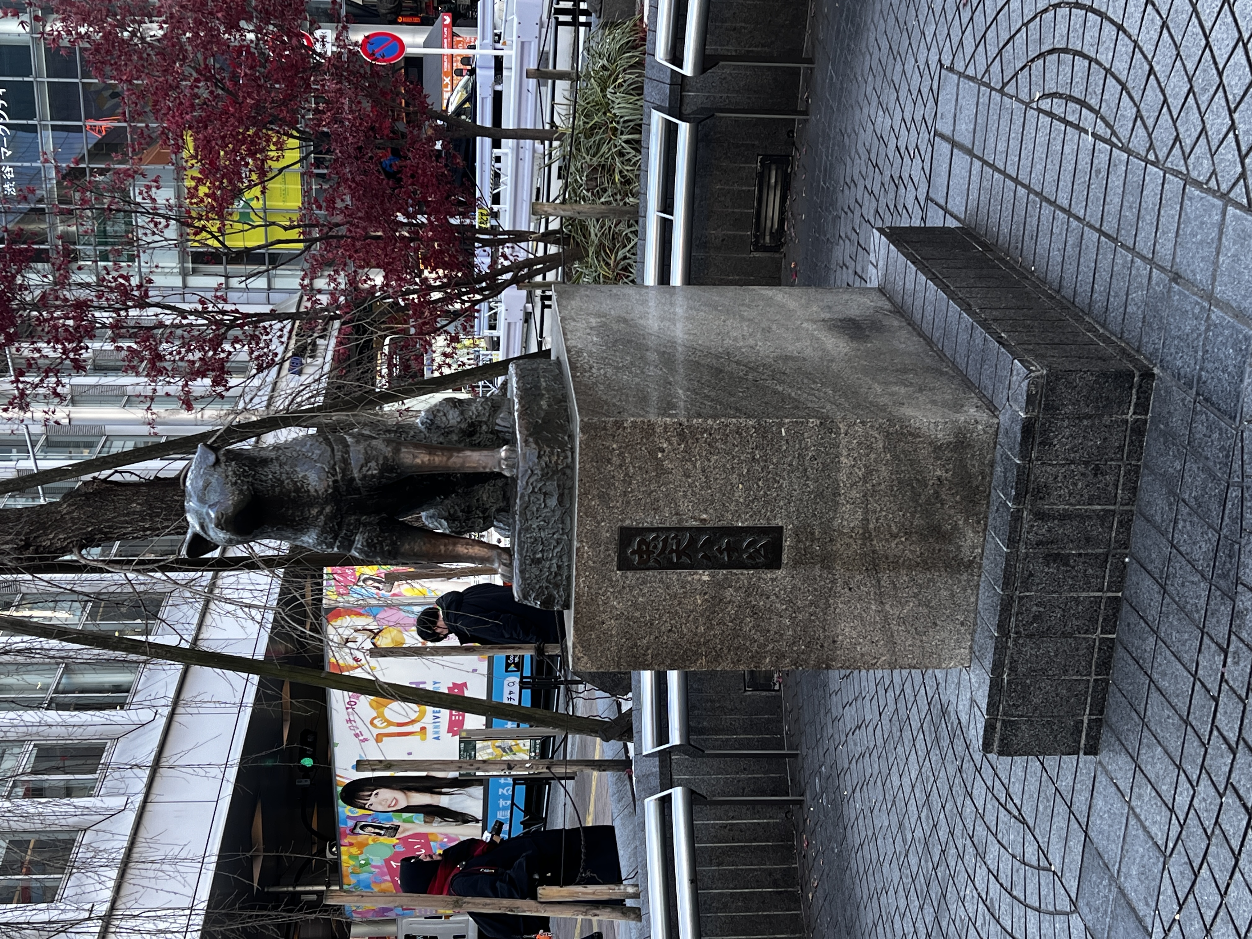 东京 - 照片 7 / Tokyo Photo 7